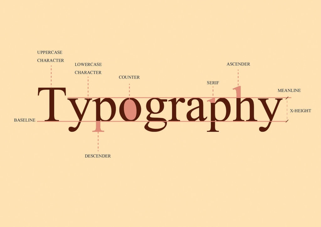 Top 6 Typography Tips for your WordPress Website Design