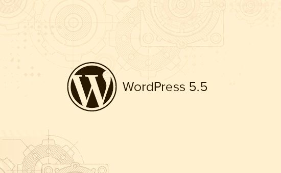 What’s All Is There In The Store Of WordPress 5.5- Let’s Take A Sneak Peak