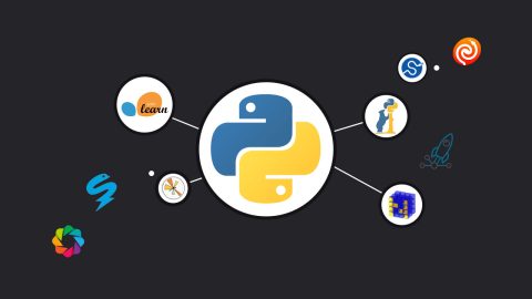 Top 10 Python Libraries in 2021-22 (Based on Recent Stats)
