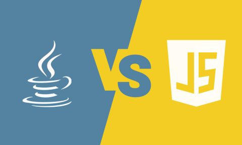 Java vs JavaScript: The 2023 Perspective (Infographic)