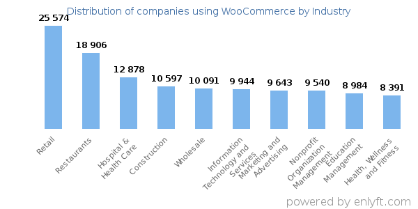 How will WooCommerce CMS Help You To Grow e-Commerce Business?