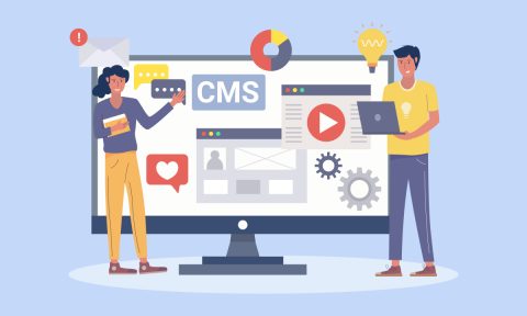 Top 10 Most Popular CMS Platform For Website Development [Infographic]