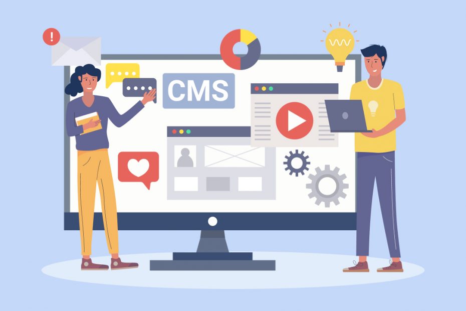 cms web development
