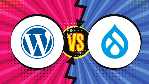 Infographic- Which CMS is better? WORDPRESS or DRUPAL