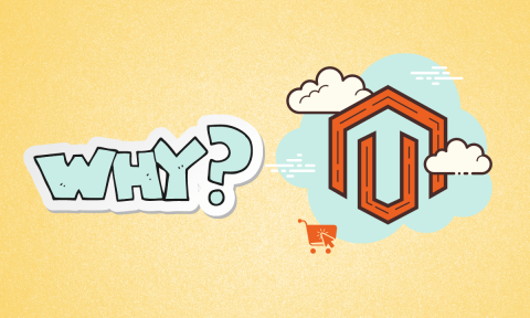 8+ Reasons Why Businesses Should Choose Magento To Form Leading Online eCommerce Store
