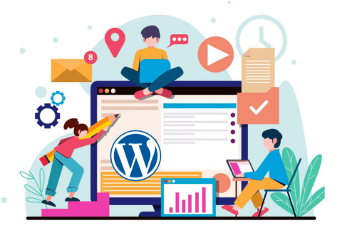 7+ Types Of Best Websites You Can Create Using WordPress