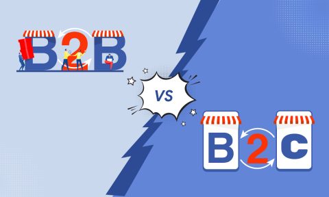 Know The Key Differences Between B2B and B2C eCommerce Websites