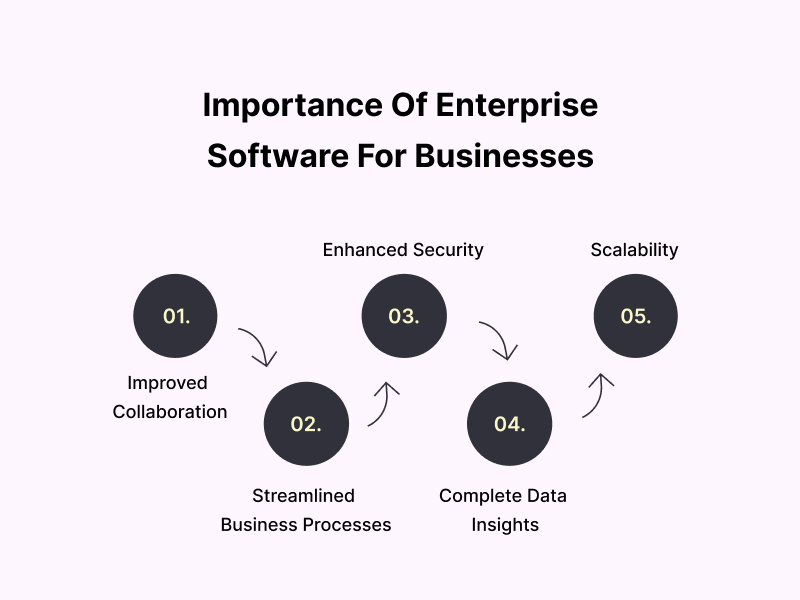 Importance Of Enterprise Software For Businesses