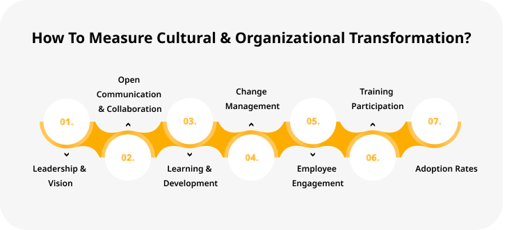 How To Measure Cultural & Organizational Transformation