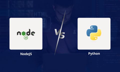 How to Make a Choice Between NodeJS and Python