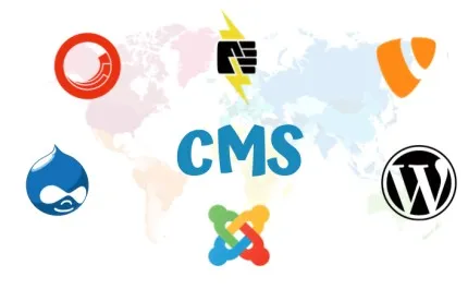 Top CMS Platforms