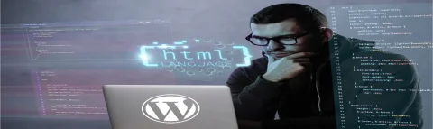 29 Leading WordPress Development Companies You Should Consider in 2025