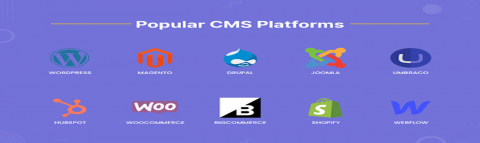 Top CMS Platforms For Your Website Development
