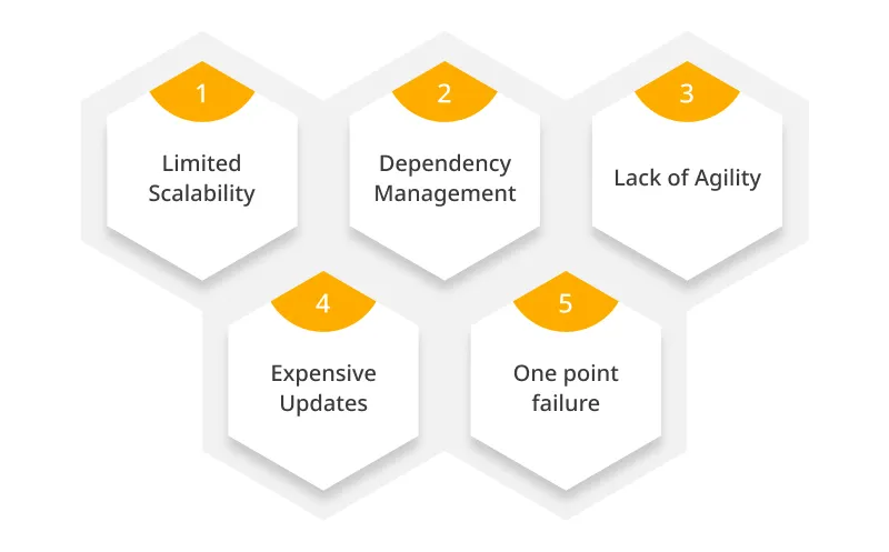 Challenges of a Monolithic Application