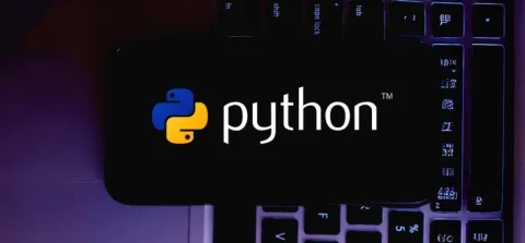 Leveraging Python for Digital Innovation: Trends and Applications