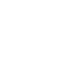 Dynamically Typed